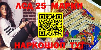 стаф Тула