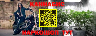 индика Ногинск