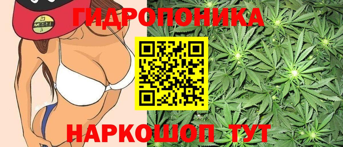 Конопля VHQ Советская Гавань